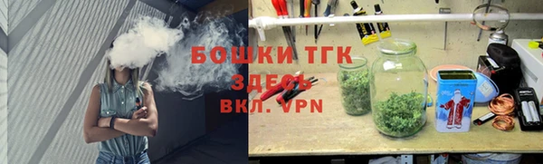 прущие грибы Баксан