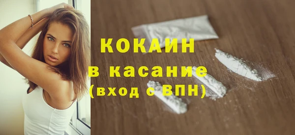прущие грибы Баксан