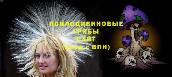 прущий лед Армянск