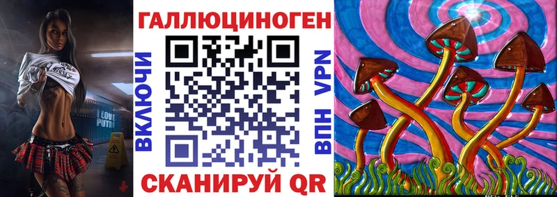 Псилоцибиновые грибы Psilocybine cubensis сколько стоит Бирюсинск